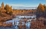 Wetlands At Sunrise_08046